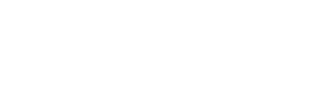 Bluehouse Physio Logo